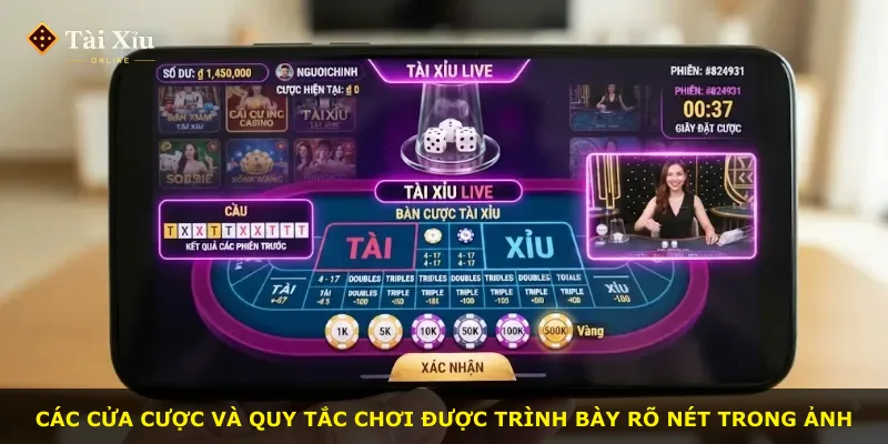 Các cửa cược và quy tắc chơi được trình bày rõ nét trong ảnh