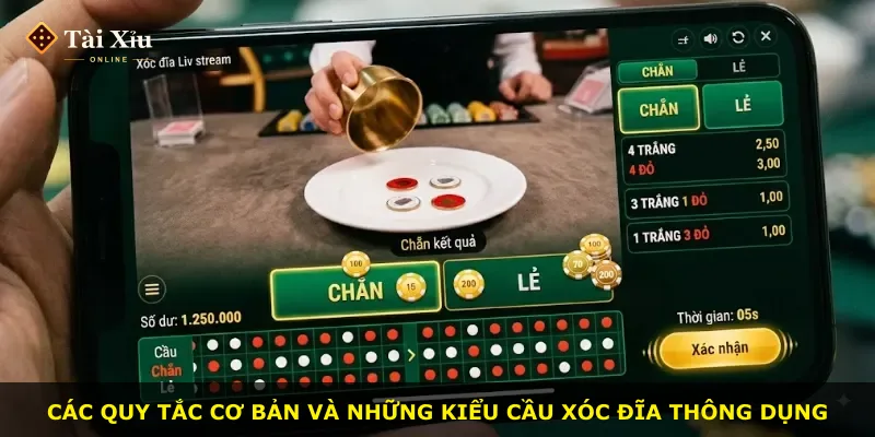 Các quy tắc cơ bản và những kiểu cầu xóc đĩa thông dụng