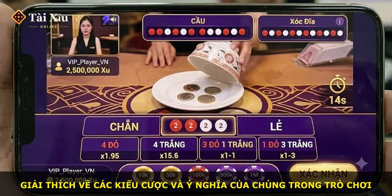 Giải thích về các kiểu cược và ý nghĩa của chúng trong trò chơi