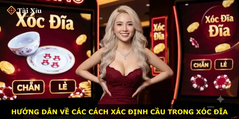 Hướng dẫn về các cách xác định cầu trong xóc đĩa