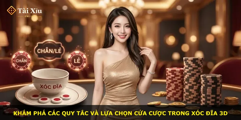 Khám phá các quy tắc và lựa chọn cửa cược trong xóc đĩa 3D