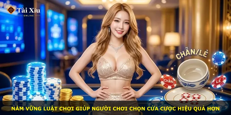 Nắm vững luật chơi giúp người chơi chọn cửa cược hiệu quả hơn