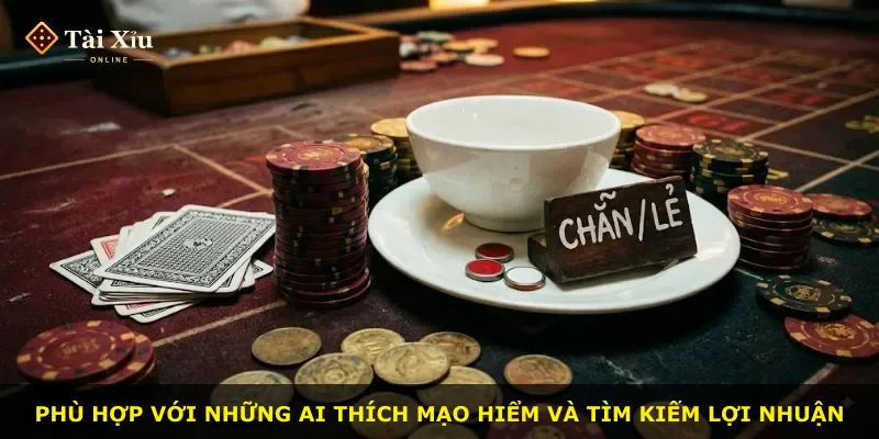 Phù hợp với những ai thích mạo hiểm và tìm kiếm lợi nhuận
